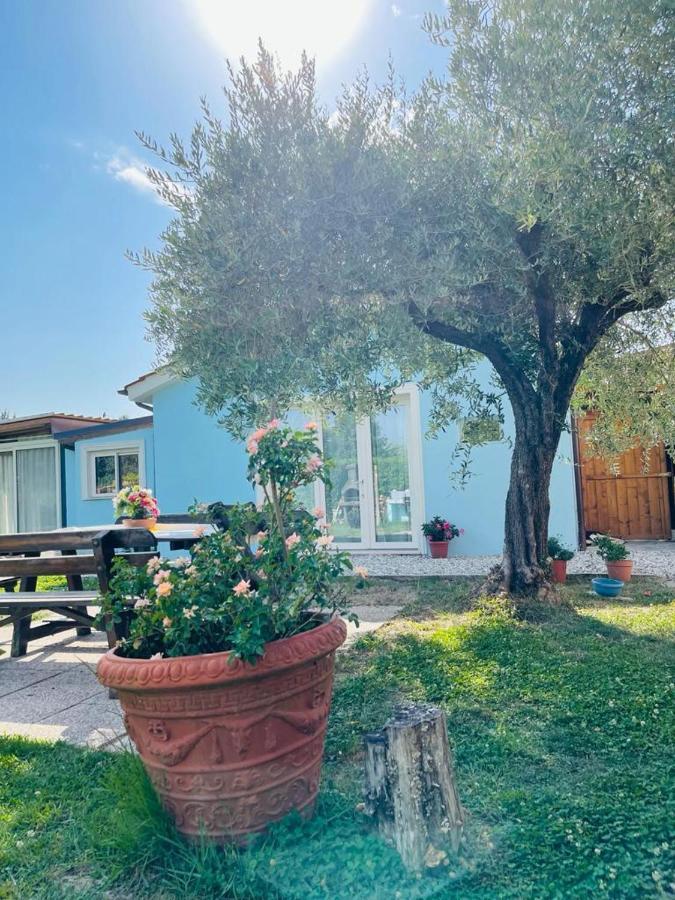 לוקה B&B La Rosa Nel Verde מראה חיצוני תמונה